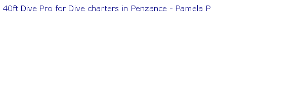 Text Box: 40ft Dive Pro for Dive charters in Penzance - Pamela P
